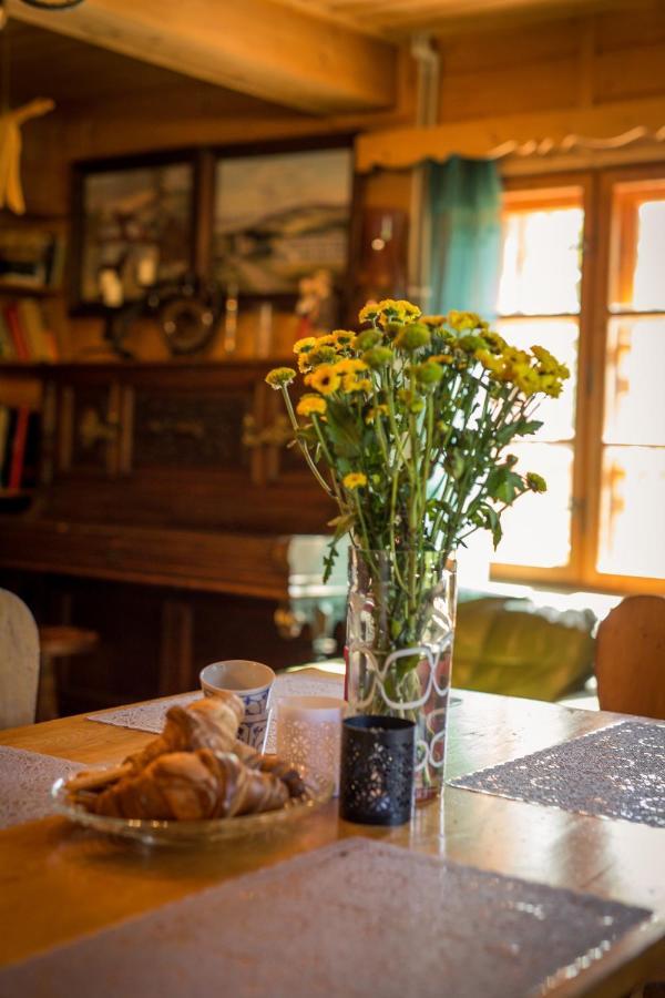 Gosciniec Tokarzonka Villa Istebna Buitenkant foto