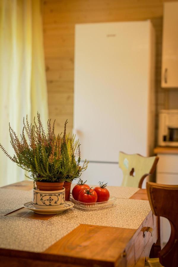 Gosciniec Tokarzonka Villa Istebna Buitenkant foto
