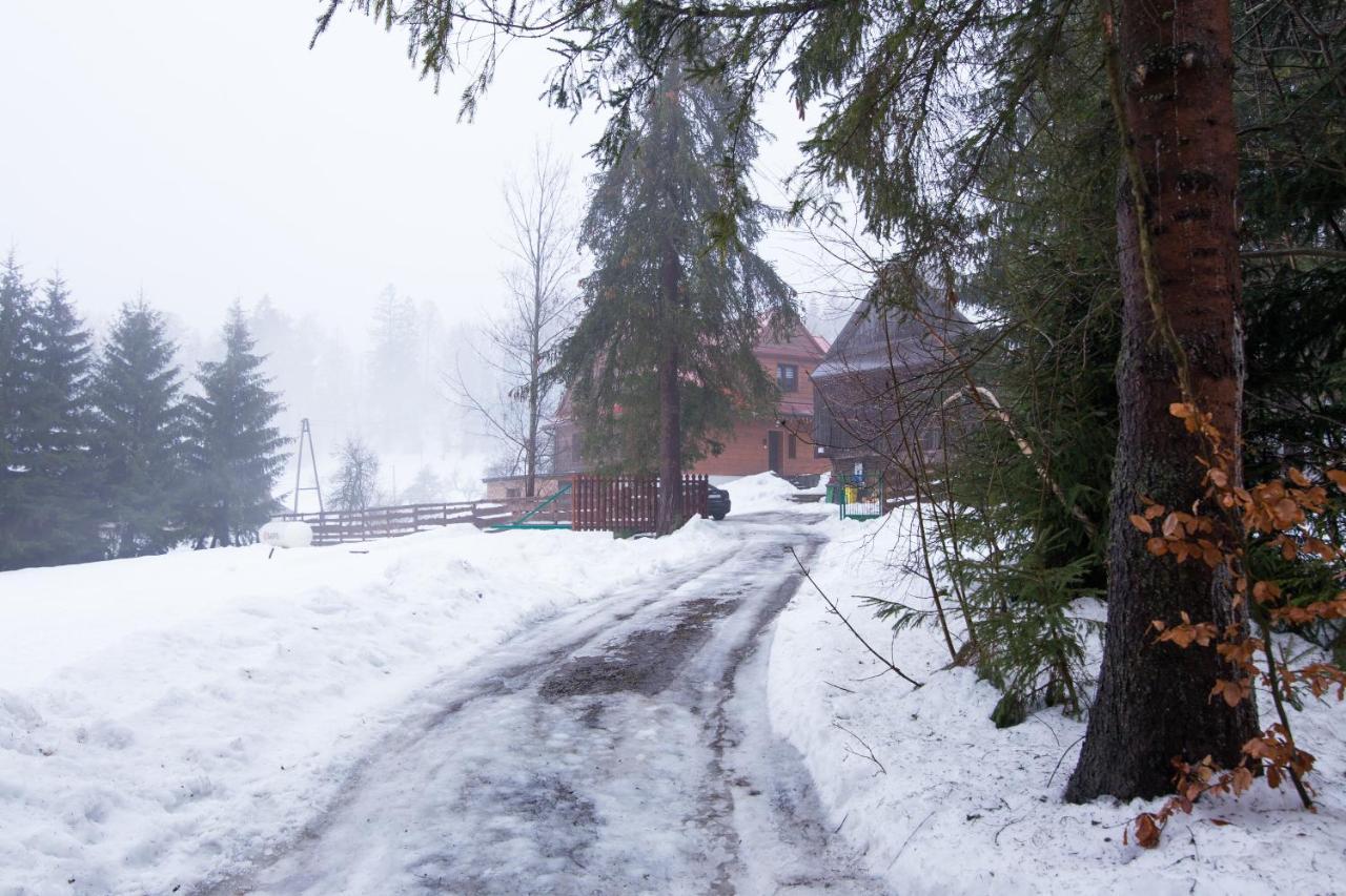 Gosciniec Tokarzonka Villa Istebna Buitenkant foto